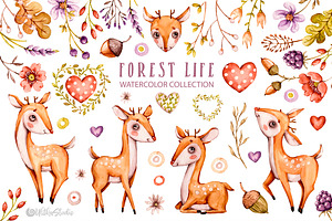 Forest Nursery Watercolor clipart