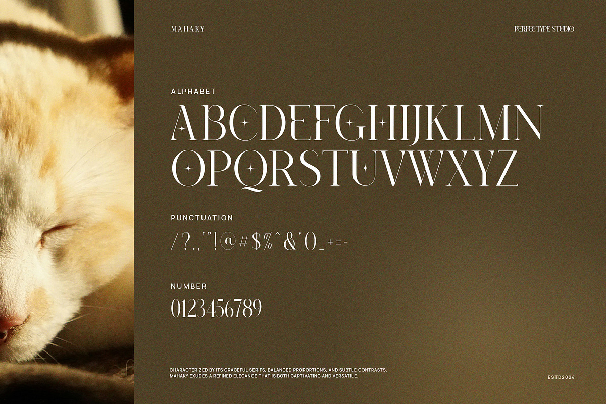Mahaky Modern Serif Font By Perfectype preview 8