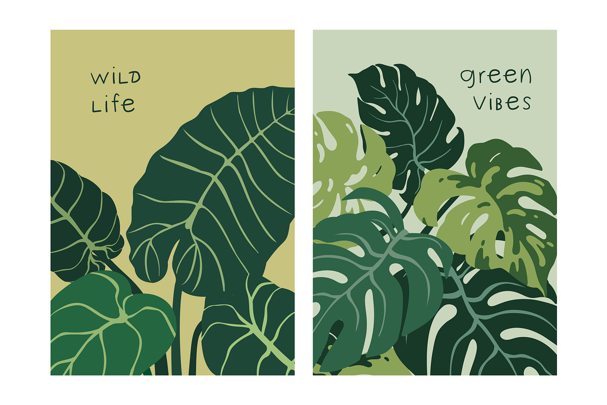 Tropical leaf plants, posters set, a Decorative Illustration by Good Studio (Photo 2 of 15)