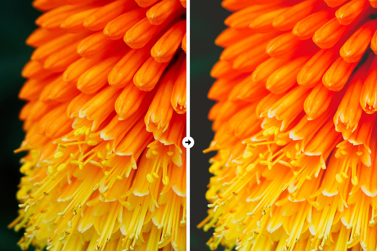 9 Nature Lightroom Presets, an Action Add-On by M E G A S E T S (Photo 3 of 5)