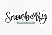 Snowberry | Handwritten Script Font, a Script Font by KA Designs (Thumbnail 11 of 11)