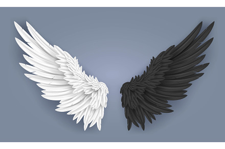 Realistic angel and demon wings, an Animal Illustration by winwin.art