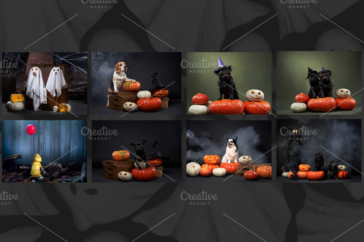 Trick or Treat Halloween Dog Photo, a Holiday Photo by Animalistica (Photo 3 of 4)