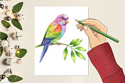 Cute Tropical Animal Friends, an Illustration by RobertsArt (Thumbnail 5 of 7)