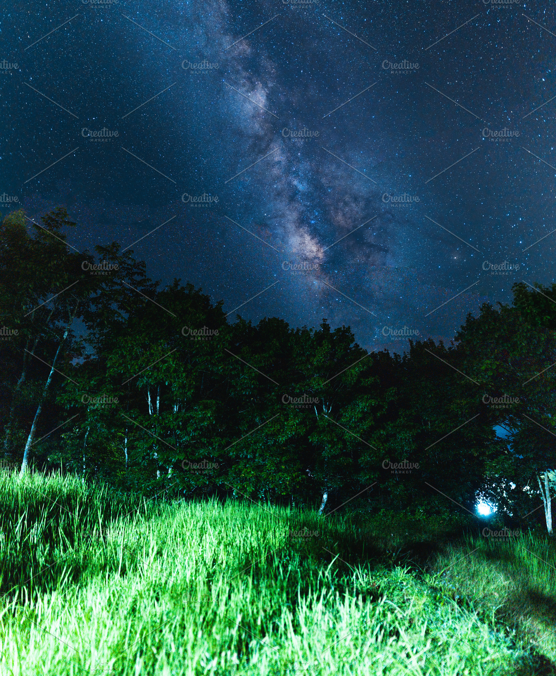 Night scene milky way background,Trees Against Sky At Night, a Nature Photo by Art Rachen