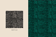Seamless Animal Print Patterns, a Pattern Graphic by Jaclyn Caris (Thumbnail 5 of 13)