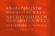 Metron Elegant Serif Font, a Serif Font by Elegant Font (Thumbnail 7 of 8)
