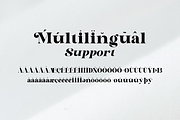 Astelin, a Serif Font by zaaintype (Thumbnail 13 of 15)