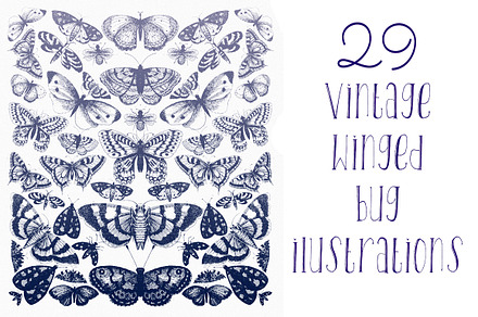 Vintage Winged Bugs