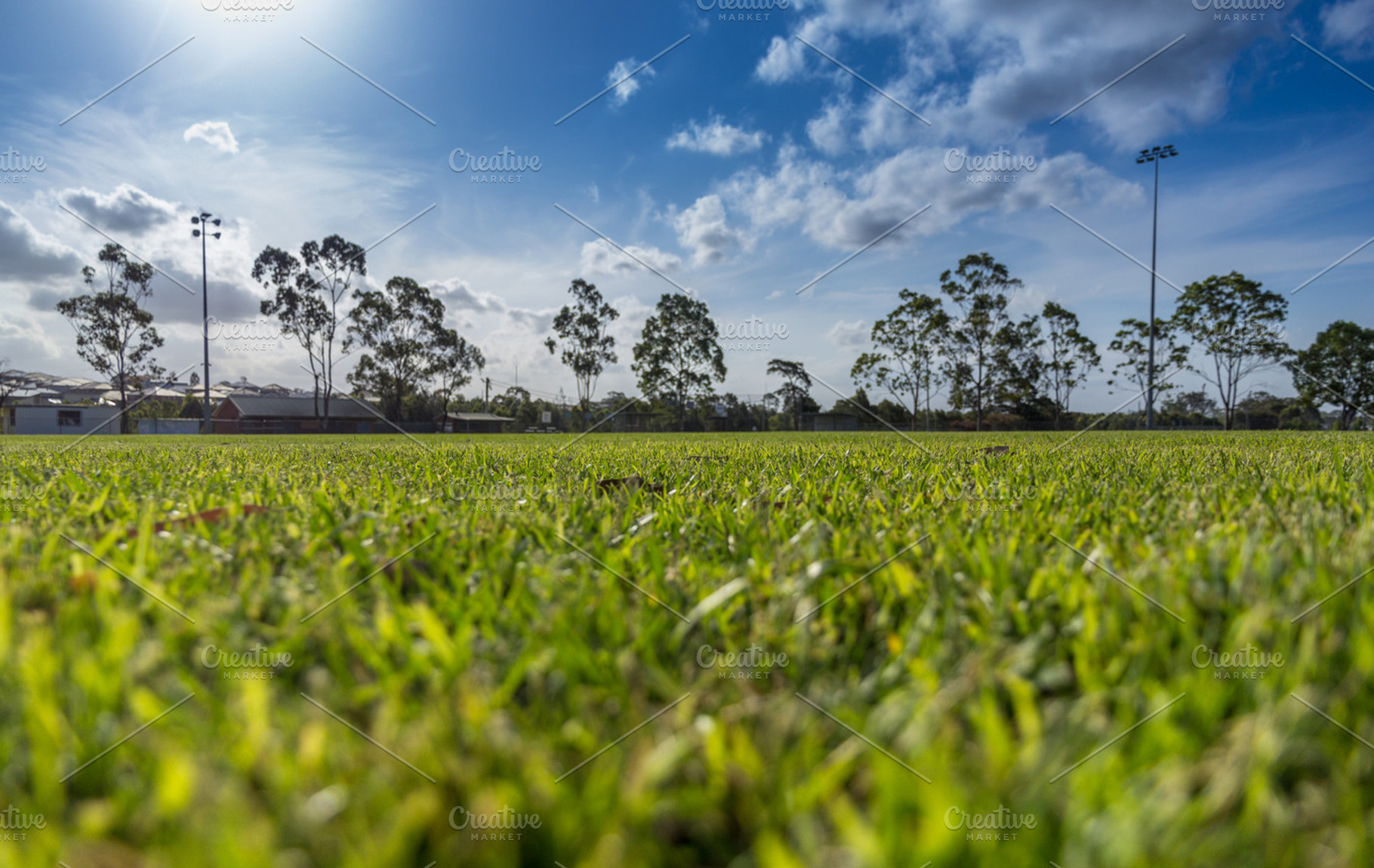 Grass Field with Trees in the back, a Nature Photo by Dylan Martin Studios