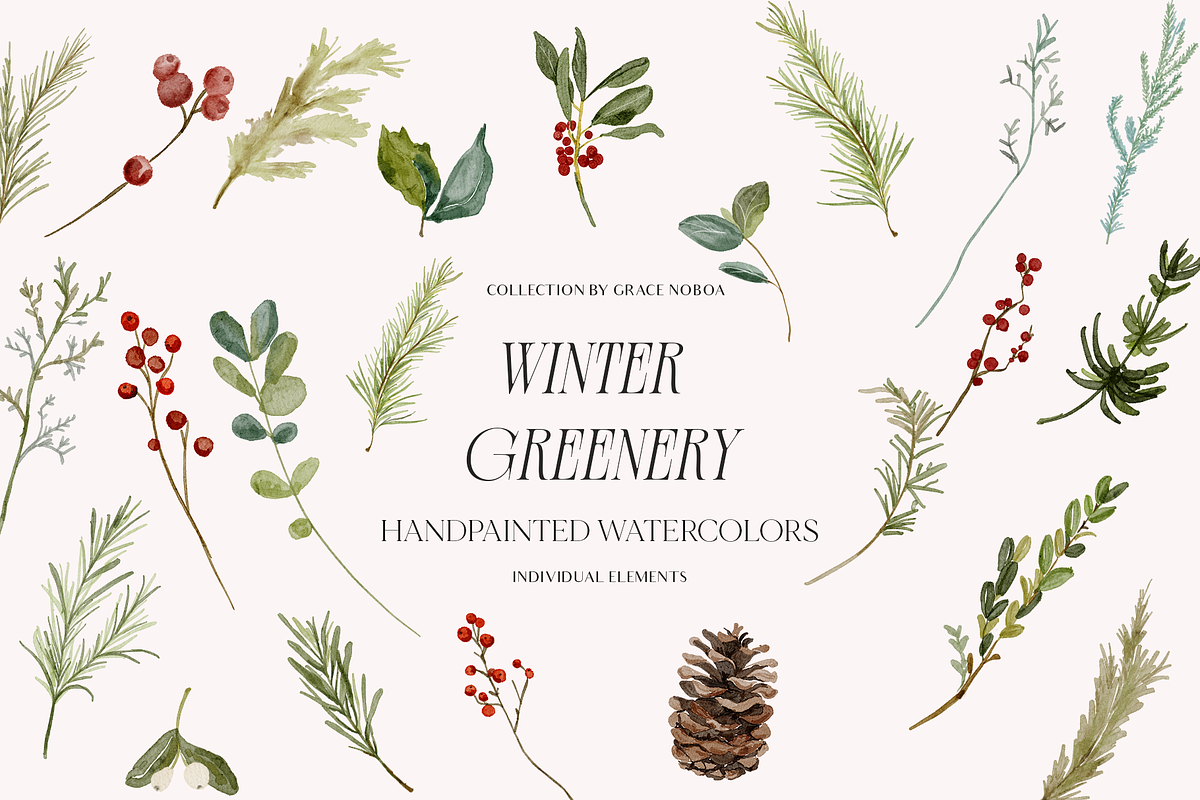 Winter Christmas Greenery Collection, a Decorative Illustration by Grace Noboa Illustrations (Photo 7 of 8)