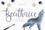 16300 in 1 - GRAPHIC GIANT BUNDLE, an Illustration by Julia Dreams (Thumbnail 44 of 99)