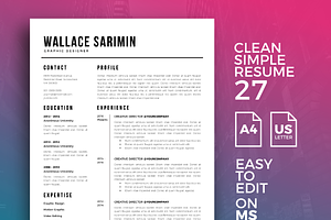 Resume Template 27