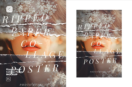 Ripped Paper Collage Poster