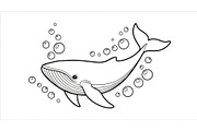 Whale Line Art Vector Bundle, an Illustration by yasushie (Thumbnail 36 of 51)