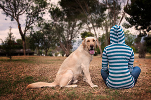 I love my dog stock photo containing girl and dog