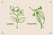 AROMATHERAPY (26 illustrations), a Healthcare Illustration by Bonfloret Studio (Thumbnail 3 of 11)