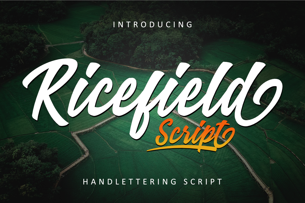 Ricefield Script