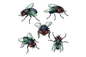 Fly Set Sketch Hand Drawn Vector