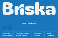 30% OFF! Flatface Briska