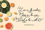 Audrena - Beautiful Monoline Font, a Script Font by PutraCetol Studio (Thumbnail 5 of 11)