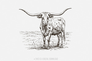 Texas Longhorn, Western PNG, an Illustration by SharpMarketplace
