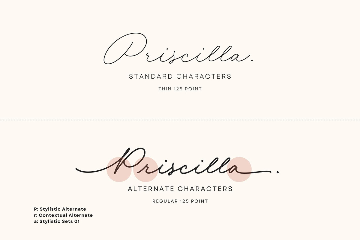 Dian Milena - Signature Script, a Script Font by Get Studio (Photo 2 of 29)