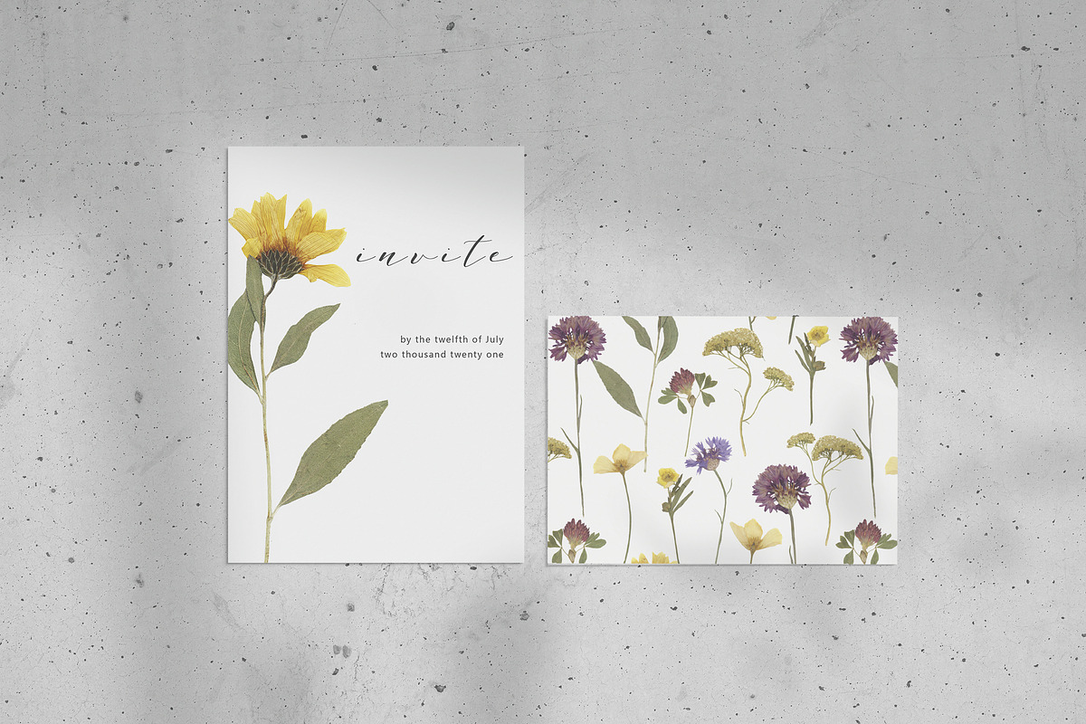 Pressed Dry Flowers & Leaves, an Object Graphic by Katya_lu (Photo 5 of 8)