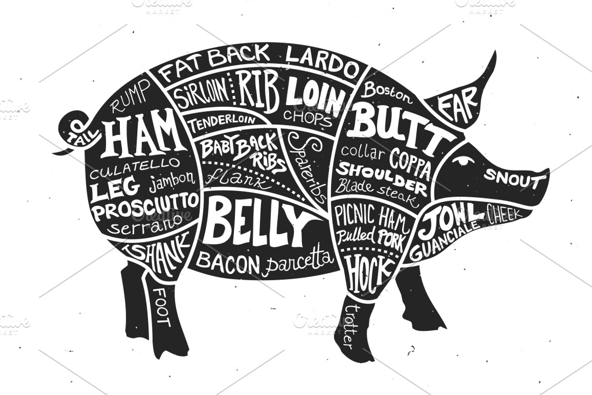 Labeled Cuts of Meat - Pig, an Illustration by Ramsey Creative (Photo 2 of 4)
