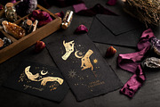 NOCTURNA Hidden Secrets Collection, a Decorative Illustration by Muse Artist (Thumbnail 12 of 47)