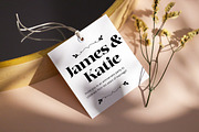 Garage Hostar - Display Font, a Serif Font by Megatype (Thumbnail 4 of 11)