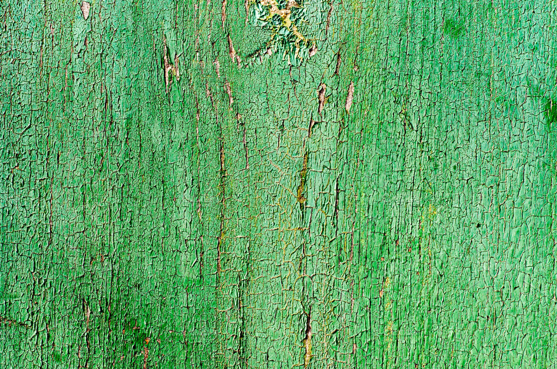 Cracked Paint