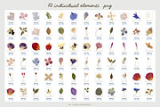 SUMMER MEMORIES - herbarium flowers, an Object Graphic by alenaganzhela (Thumbnail 3 of 8)