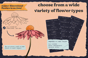 Flower Builder Kit For Photoshop