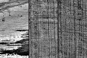 GSTC - Wood grain, a Texture Graphic by The Shop (Thumbnail 28 of 48)