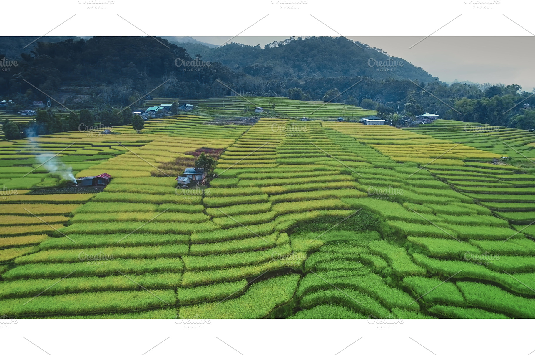 Rice terraces creating stunning, a Nature Photo by Goinyk