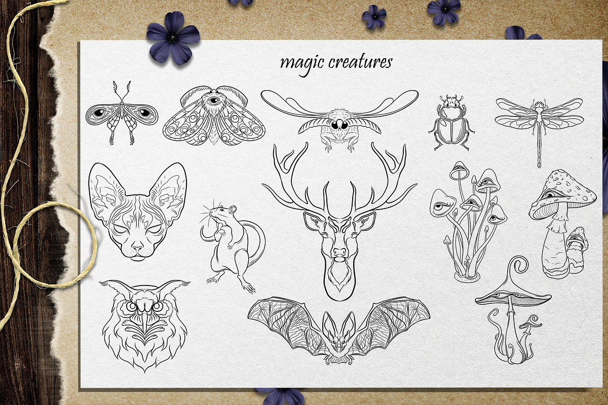 MAGIC collection - Vector ClipArt, an Animal Illustration by Evgenia Pichkur (Photo 3 of 12)