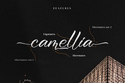 Bhineka Xuloeng, a Handwritten Font by Integritype Studio (Thumbnail 14 of 15)