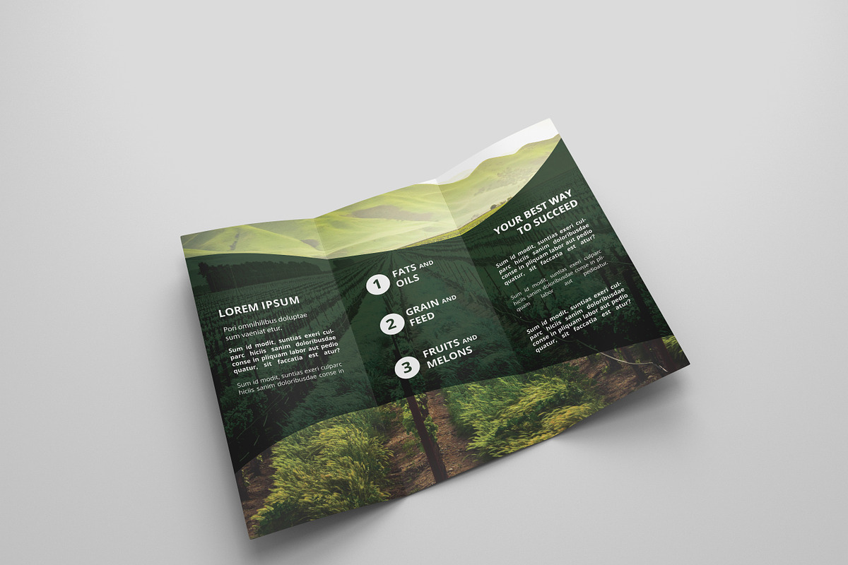 Agriculture Tri-fold Brochures, a Brochure Template by Creatricks (Photo 2 of 2)