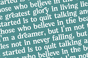 Neutral Trends Modern Display Serif, a Serif Font by timelesstype.co (Thumbnail 17 of 20)