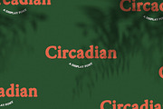 Circadian, a Serif Font by Bouchard Designs (Thumbnail 8 of 9)