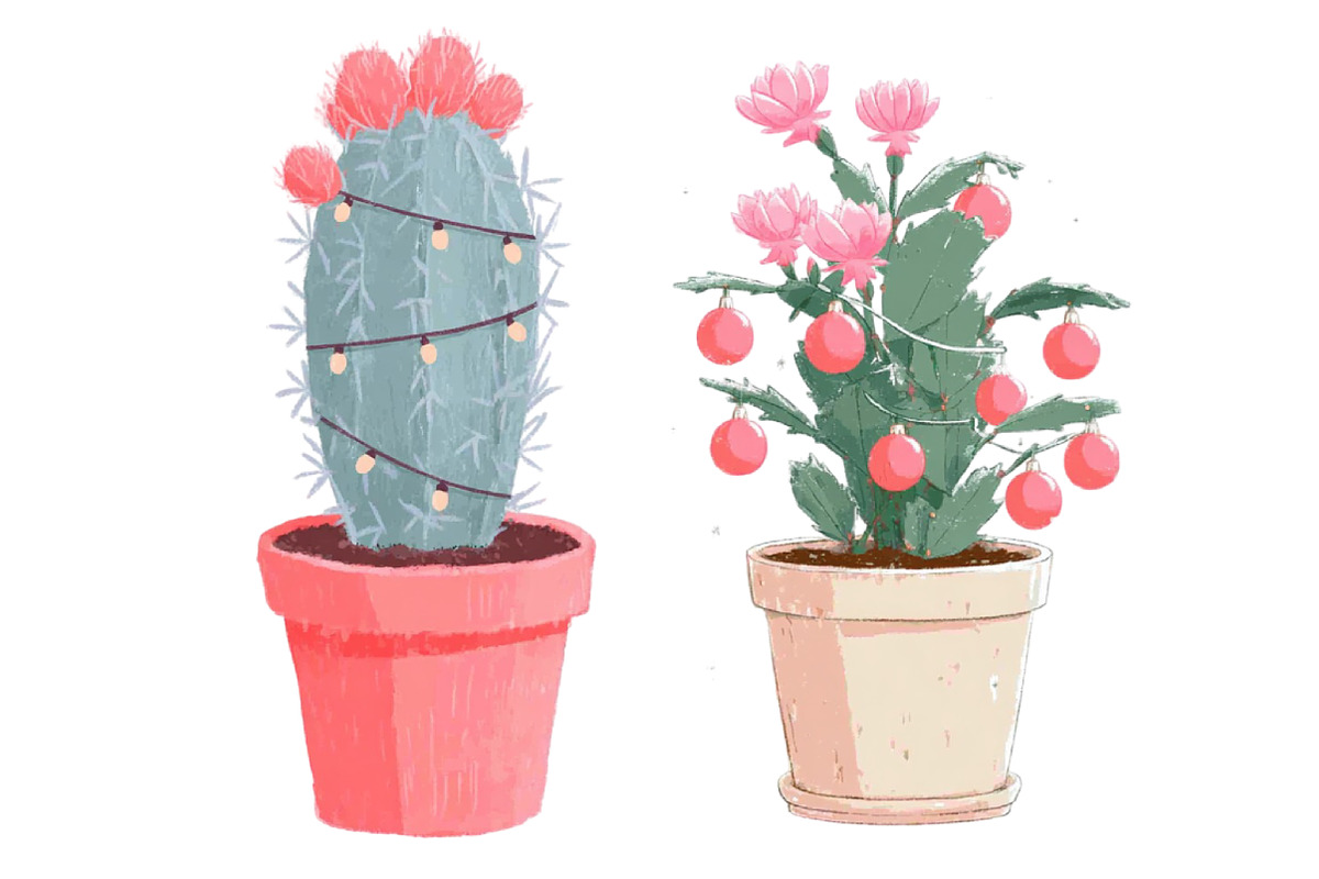 Christmas Houseplant Clipart, an Illustration by Designworld (Photo 4 of 5)