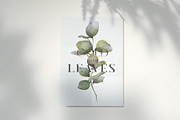 Watercolor Green Leaves Collection, a Decorative Illustration by Damian Roh (Thumbnail 6 of 19)