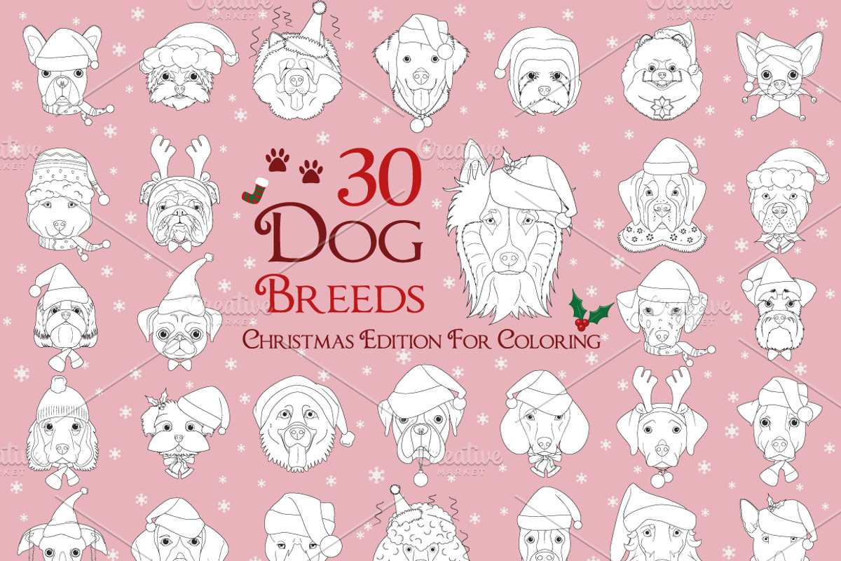 Christmas 60 Dog Breeds for Coloring, an Animal Illustration by asantosg (Photo 2 of 9)