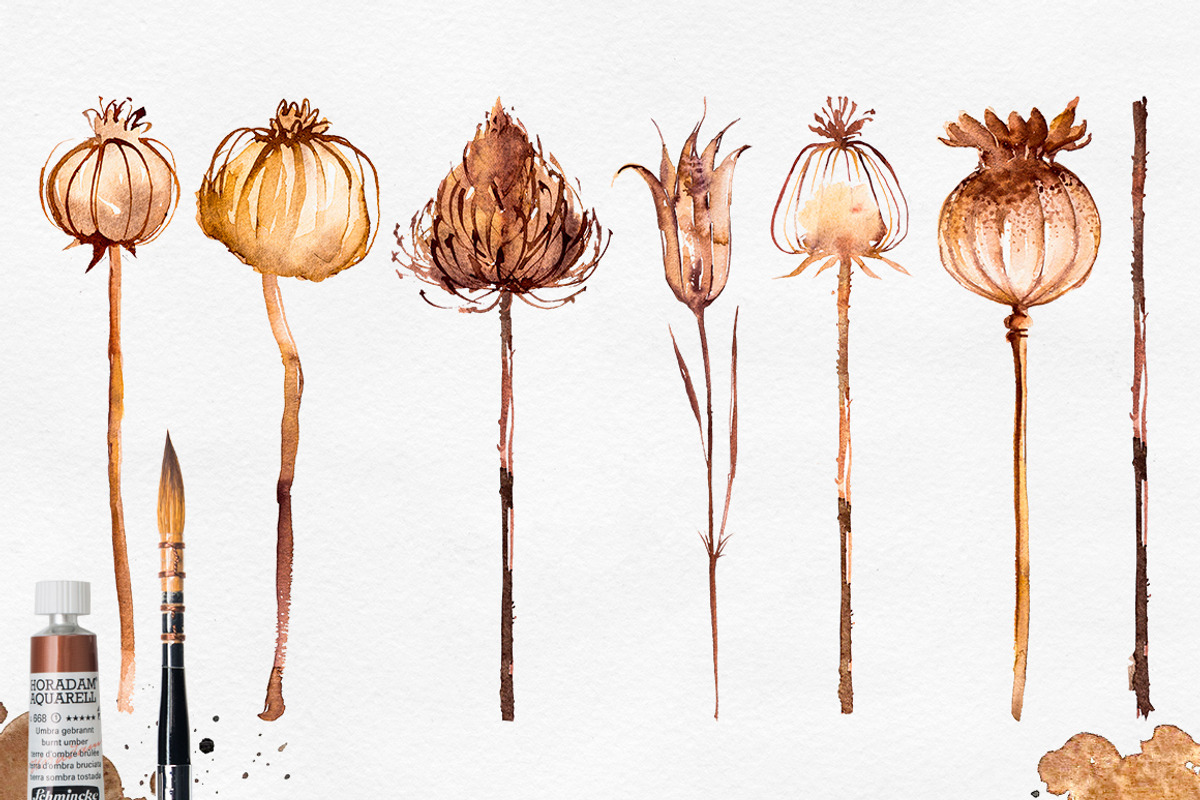 Herbarium Master Collection, a Decorative Illustration by AlexGreenArt (Photo 5 of 12)