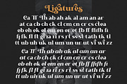 Castello Typeface | Retro Bold Serif, a Serif Font by Almeera Std (Thumbnail 8 of 12)