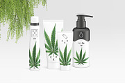 Botanical hand drawing - sativa leaf, a Healthcare Illustration by separisa (Thumbnail 4 of 6)
