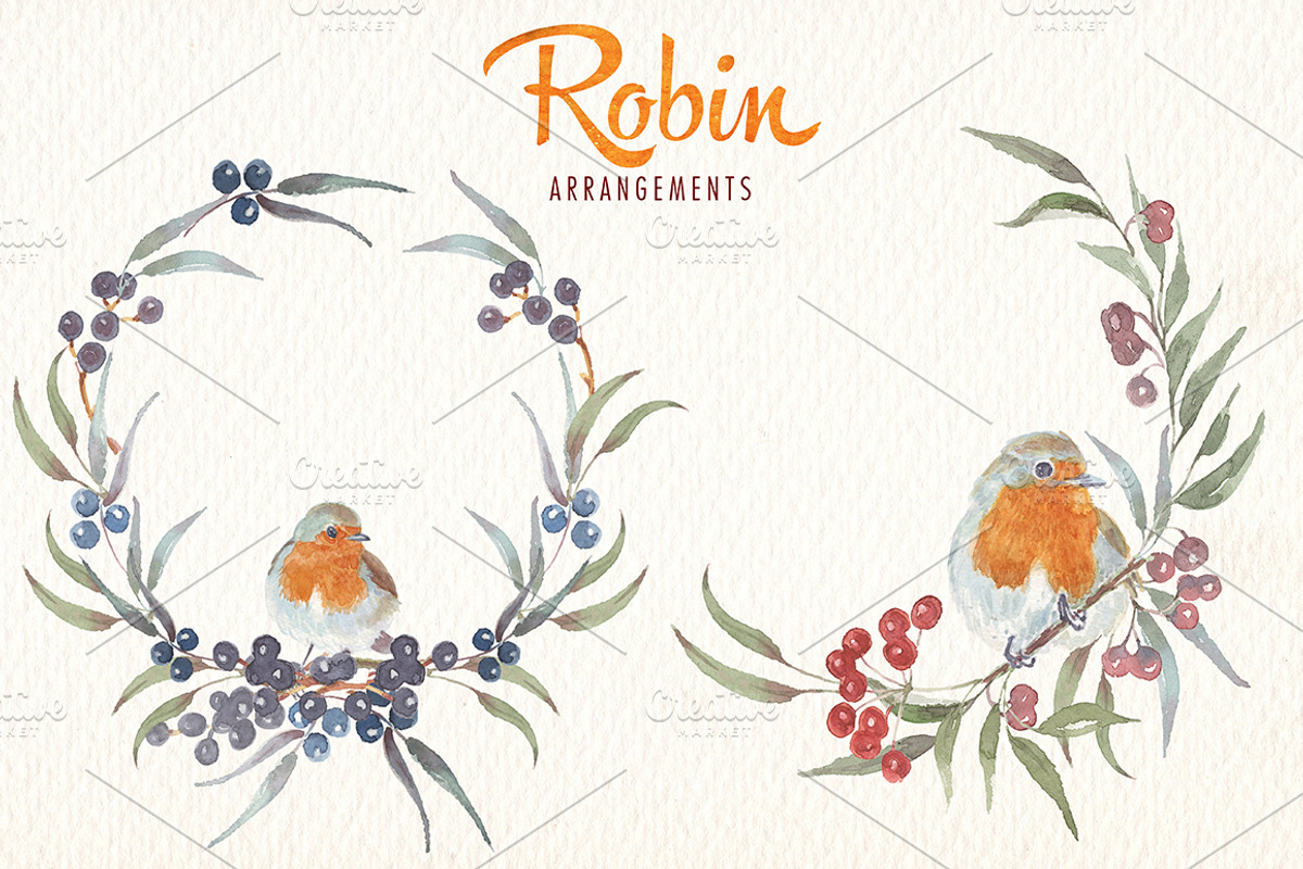 watercolor robin bird clipart, an Illustration by Art & Things (Photo 8 of 10)
