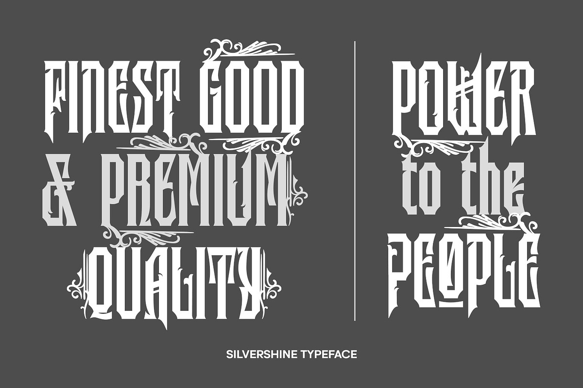 Silvershine, a Symbol Font by Nathatype (Photo 2 of 11)