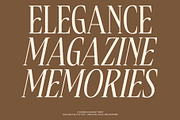 CS Brings – Elegant Serif Font, a Serif Font by Craft Supply Co. (Thumbnail 3 of 8)
